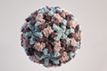 three-dimensional illustration of a single norovirus virion