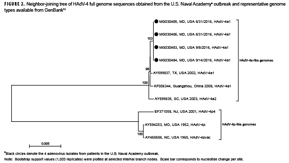Neighbor-joining tree of HAdV-4 full genome sequences obtained from the U.S. Naval Academya outbreak and representative genome