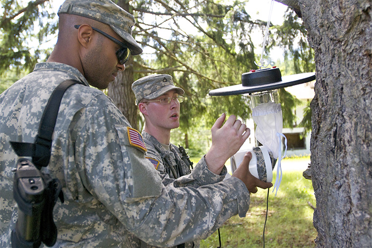 Image of Preventive medicine specialists check an insect trap. Click to open a larger version of the image.