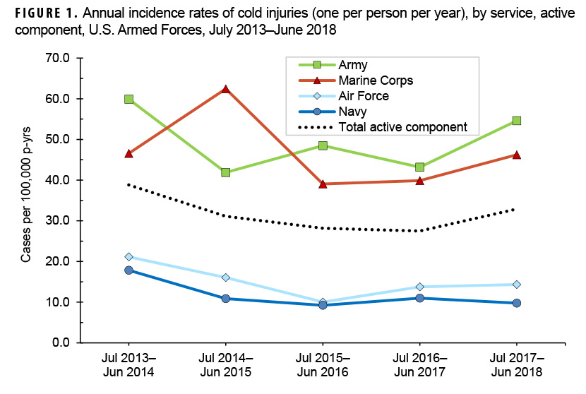Annual incidence rates of cold injuries (one per person per year), by service, active component, U.S. Armed Forces, July 2013–June 2018