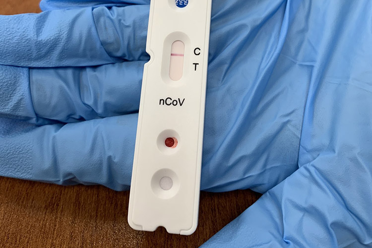 Gloved hand holding an example of a negative rapid test for the SARS-CoV-2 virus (COVID-19).