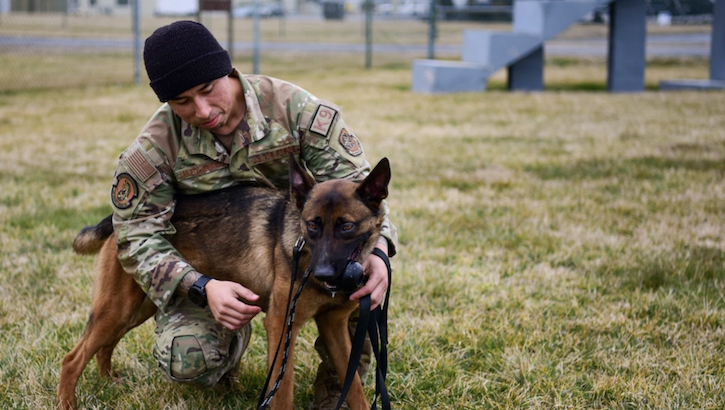 Edwin Argueta-Hernandez, Military Working Dog Trainer, 436th Security Forces Squadron, and Tako, MWD Drug Detector assigned to the squadron, rest post-training at Dover Air Force Base, Feb. 23, 2024. (U.S. Air Force photo by Staff Sgt. Alexandra Minor)