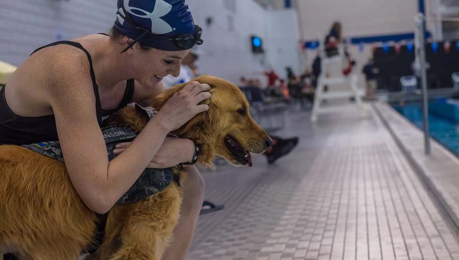 Image of Military personnel with their service dogs during swim practice.