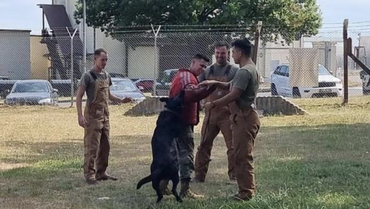 Military personnel in animal training session