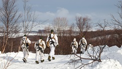 Military personnel walking in the snow