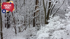 Snow covers the trees around J. Edward Roush Lake, Huntington, Ind.