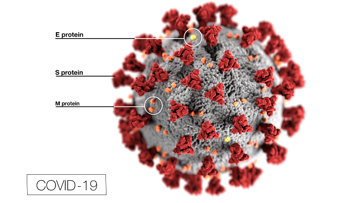 This illustration, created at the Centers for Disease Control and Prevention (CDC), reveals ultrastructural morphology exhibited by coronaviruses. The illness caused by this virus has been named coronavirus disease 2019 (COVID-19). (CDC Illustration)