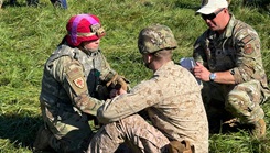 Military personnel in the field