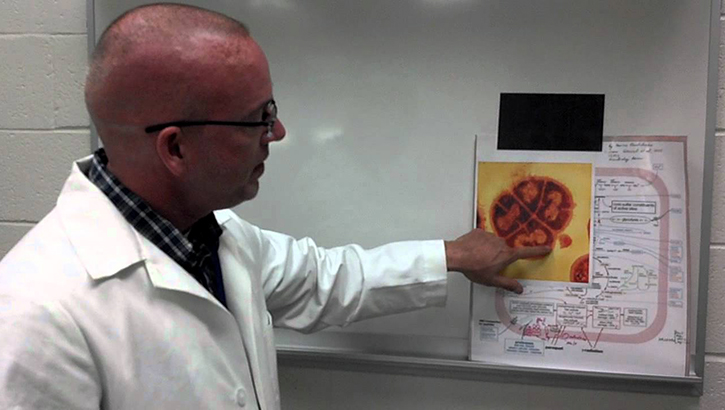 Image of Man wearing lab coat points to image of bacteria.