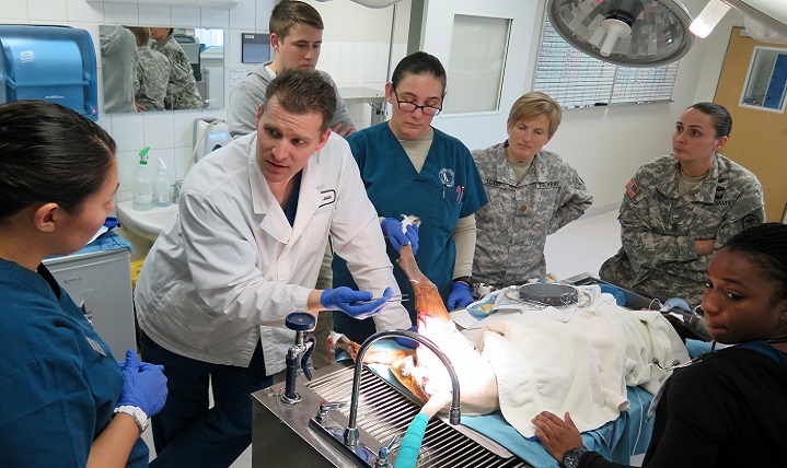 Army Maj. Lane Hansen (in lab coat), deputy director for Dog Center Europe, discusses treatment option for Military Working Dog Rocky with (Left to Right): Spec. India Mainville, veterinary technician Army Sgt. John Paul Perry, a Military Working Dog handler from the 525th MWD Detachment; Sgt. 1st Class Elizabeth Marroquin, Noncommissioned officer in charge of Dog Center Europe; Maj. Suzanne Todd, deputy commanding officer for Public Health Command District - Northern Europe; 1st Sgt. Gina Egan, PHCD-NE first sergeant; and Spec. Dimonde Davis, a veterinary technician. (U.S. Army photo by Maj. Scott Chamberlin)