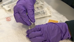 Gloved hands working in laboratory