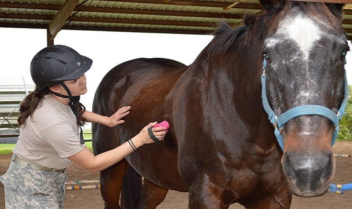 Army Sgt. Andrea Kraus brushes her horse after a ride at the Joint Base San Antonio-Fort Sam Houston Equestrian Center.