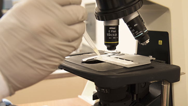 Image of a researcher placing a drop of fluid under a microscope. Click to open a larger version of the image.