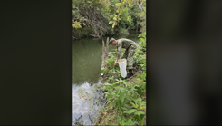 A military medical student studies mosquioto larvae at a creek.