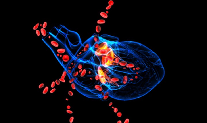 A blue 3D drawing of a human heart with large red blood cells flowing out. According to the Centers for Disease Control and Prevention, 321,000 men died from heart disease in 2013, or one in every four male deaths. (NIH courtesy image)