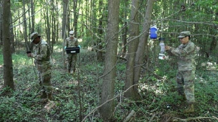 Image of Group of people in forest gathering samples. Click to open a larger version of the image.