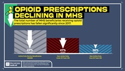 Graph about Opioids 