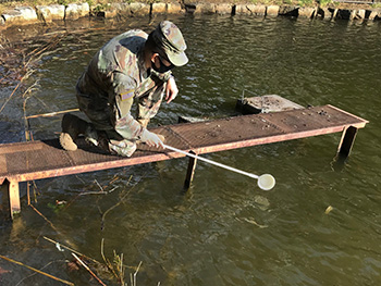 Military health personnel collecting samples from a river