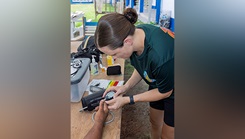 U.S. Army Lt. Col. Katie Neumayer assigned to Tripler Army Medical Center, conducts a medical assessment on native Palauans