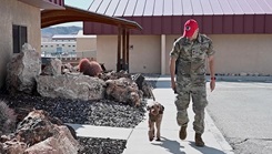 U.S. Air Force Col. Adam Roberts with his service dog, Porche