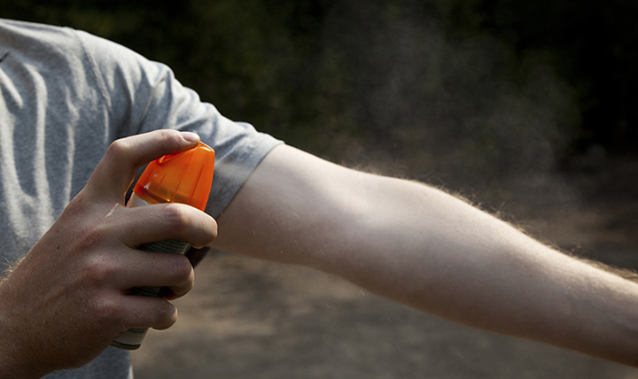 Using an insect repellent spray can be an important measure in guarding against bites from fleas, ticks and mosquitoes this summer.