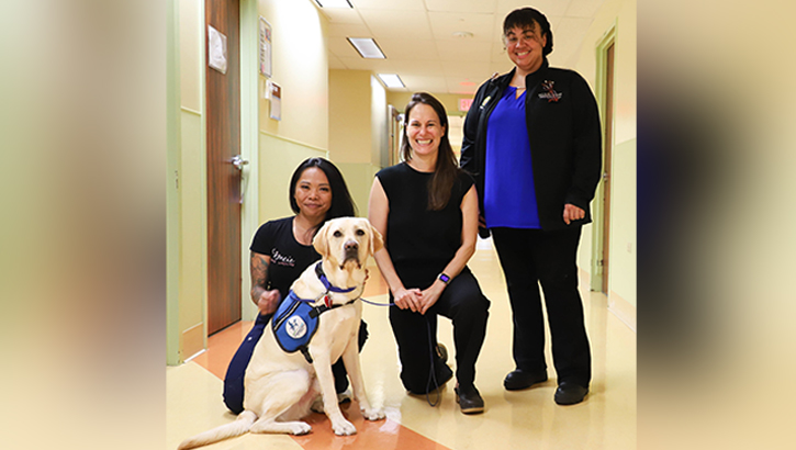 Nalu the service dog poses with staff at Tripler Army Medical Center