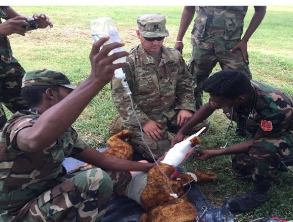 U.S. Army Veterinary Corps Officers discuss dog handler medical training and physical examination techniques with their Sri Lankan counterparts. (Photo Credit: LTC Matthew Levine)