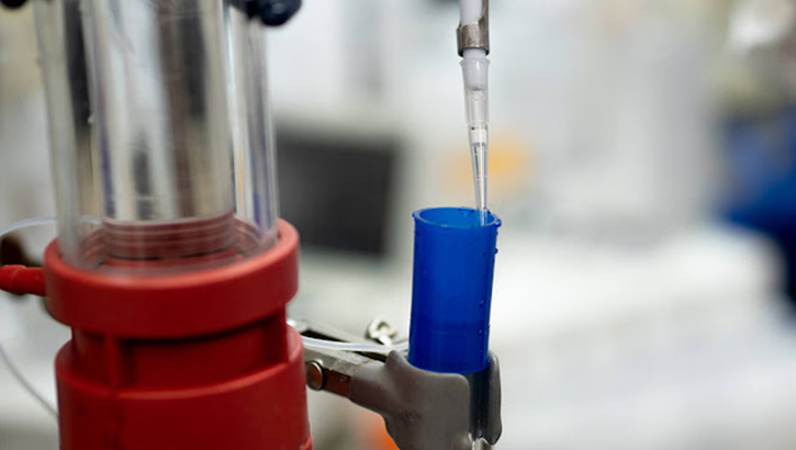  TSN6 therapeutic peptides suspended in hydrogel to accelerate full-thickness wound healing