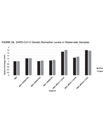 FIGURE 2b. 2025 MRI Image of Ross River Virus-Infected Australian Service Member’s Right Wrist, Indicating Capsulosynovitis This MRI scan is paired with another MRI scan to show the effects of a Ross River virus infection on a service member’s right wrist at two points in time. The second image, taken in 2025, shows that while the condition has improved, there is still evidence of mild, persistent inflammation and thickening in the joint capsule. The purpose is to visually document the initial severity and lingering effects of the virus-induced arthritis.