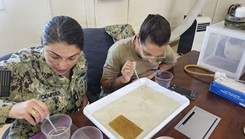 Lt. j.g. Brittani Ciomperlik (left), and entomologist with the Navy Entomology Center of Excellence (NECE), and Lt. Jyl Bean (right), an environmental health officer and head of Preventive Medicine at Navy Medicine Readiness and Training Command (NMRTC) Guantanamo Bay, raise mosquitos collected on Naval Station Guantanamo Bay for insecticide resistance testing. 