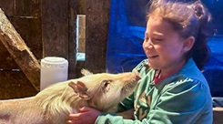 Marie Grossnickle’s niece, Hayley (9), plays with a Sinclair mini pig Grossnickle