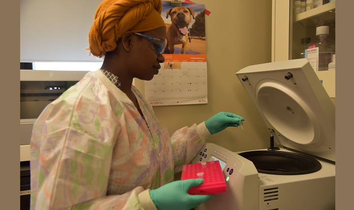 Bintu Sowe, an associate scientist at the U.S. Army U.S. Army Center for Environmental Health Research, processes samples from the bone healing experiment that was aboard the International Space Station. The samples were delivered back to Earth by SpaceX's Dragon cargo craft in March. (U.S. Army photo by Crystal Maynard)
