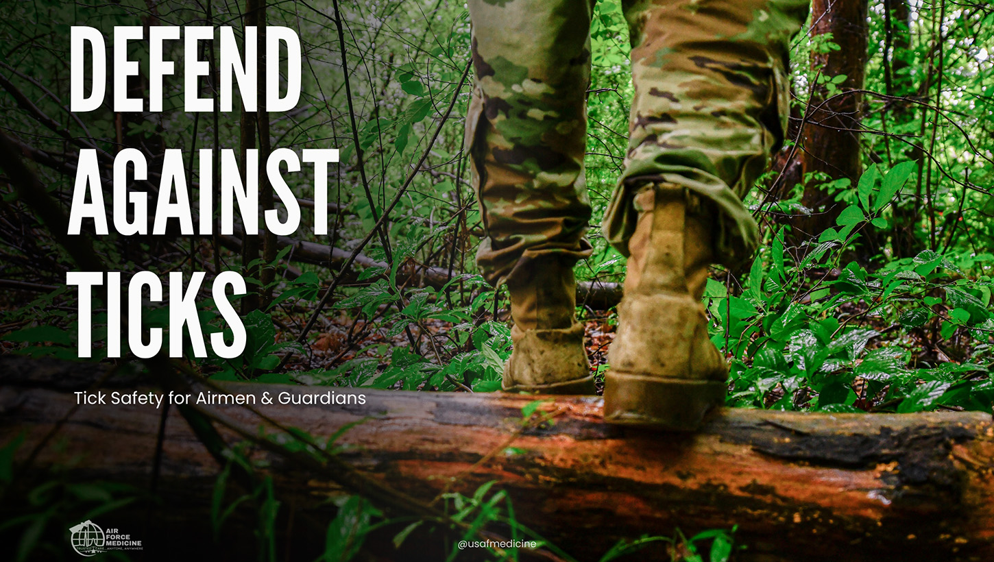 Graphic outlining tick safety for Airmen and Guardians.