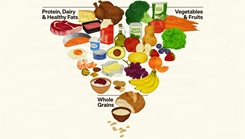 The new inverted food pyramid that has protein, dairy, healthy fats, vegetables and fruits at the top with whole grains at the bottom