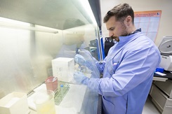 Photo by Ricardo Reyes-Guevara, Walter Reed National Military Medical Center: A medical laboratory scientist at Walter Reed National Military Medical Center handles a flow sample under specialized laboratory conditions.