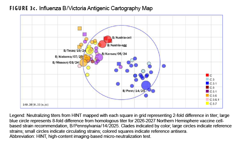 FIGURE 3c. Influenza B/Victoria Antigenic Cartography Map This two-dimensional antigenic cartography scatter plot charts the antigenic relationships between circulating B/Victoria viruses, reference strains, and antisera. With grid squares representing 2-fold neutralization titer intervals, circulating subclade C.3.1 viruses form a tight cluster situated entirely within the 8-fold neutralization perimeter of the recommended 2026–2027 cell-based vaccine strain B/Pennsylvania/14/2025. The circulating C.3.1 cluster is clearly separated from the 2025–2026 vaccine strain B/Austria/1359417/2021, indicating that circulating viruses have drifted antigenically away from the previous vaccine strain and are well neutralized by the updated 2026–2027 recommendation.