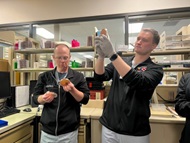 NMCSD Infectious Disease (ID) fellows review culture growth plates to determine a potential infectious organism for a patient.