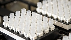 Two groups of vials on a table