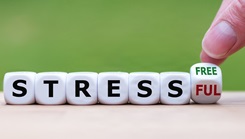 Dice that spell out 'Stress Free and Stressful'