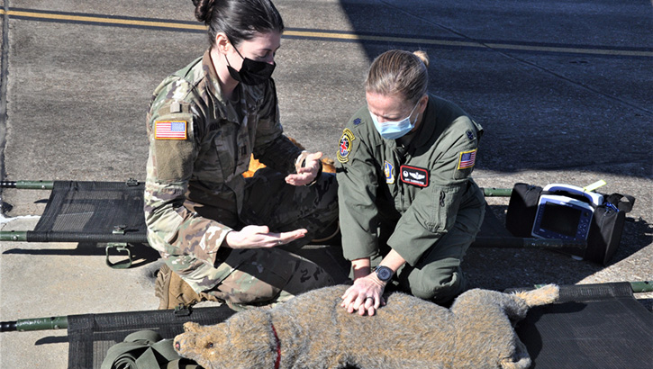 Image of Army Capt. Gabrielle Montone, Ft. Benning, Georgia, Veterinary Clinic intern, instructs 908th Airlift Wing Aeromedical Evacuation Squadron Commander Lt. Col. Amy Sanderson in canine CPR techniques at Maxwell Air Force Base, Alabama, March 7, 2021. Montone and her team conducted canine-specific medical training designed to prepare 908 AES members to provide proper care to Military Working Dogs who are injured in the line of duty. Montone is using a training mannequin. Click to open a larger version of the image.