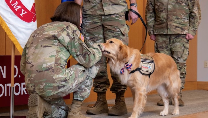 Honorary U.S. Air Force Maj. McAfee, a facility dog, bops the fist of U.S. Army Brig. Gen. Deydre Teyhen, then the commanding general, in acknowledgement of his commissioning order at Brooke Army Medical Center, at Fort Sam Houston, Texas, June 6, 2023. McAfee is BAMC’s second official facility dog and the first to be commissioned into the U.S. Air Force. His handler is U.S. Air Force Maj. (Dr.) Scott Penney, a pediatrician. System. (DOD photo: Jason W. Edwards)