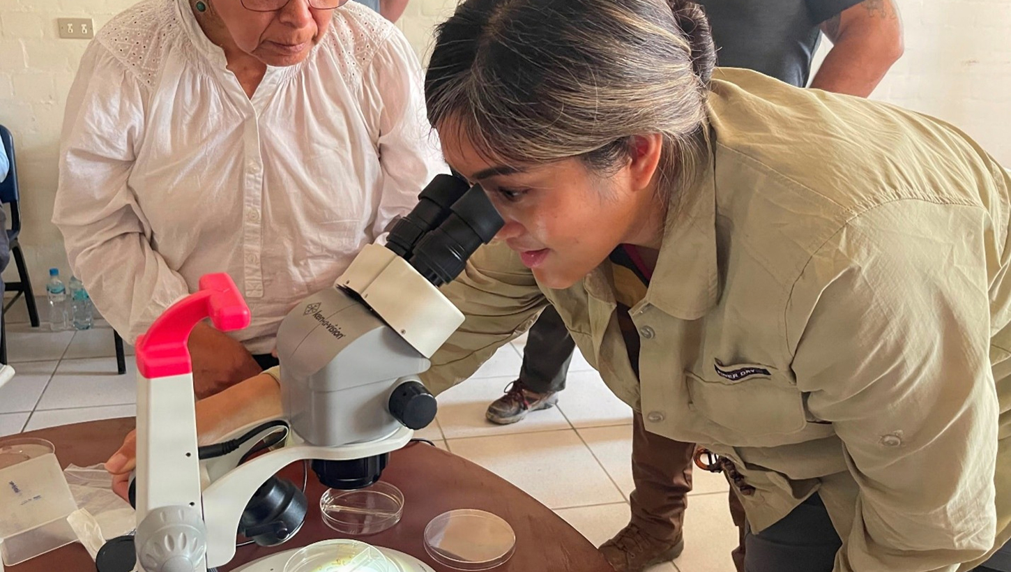 Carmen Flores, an entomologist with MANRU SOUTH, teaches Lt. Jenniffer Katekintha, a U.S. Navy nurse, how to examine vector samples with a macroscope as part of the annual Military Tropical Medicine (MTM) Field Mission