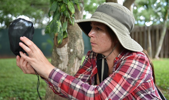 Dr. Gissella Vasquez, deputy director of the Entomology Department at the U.S. Naval Medical Research Unit No. 6, inspects a vector trap at Soto Cano Air Base, Honduras. The Joint Task Force-Bravo Medical Element, NAMRU- 6 and the Uniformed Service University of the Health Sciences partnered for an ongoing tropical disease study, testing live samples and collecting vectors that could be potential carriers for diseases. (U.S. Army photo by Maria Pinel)