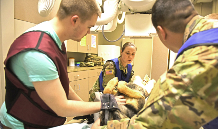 Air Force Capt. Margaret James, 92nd Medical Group veterinarian treatment facility officer, positions military working dog, Oxigen, on her back during an x-ray exam at Fairchild Air Force Base, Washington. (U.S. Air Force photo by Airman 1st Class Jesenia Landaverde)