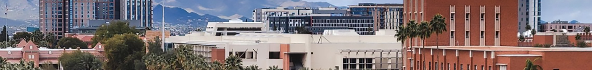University of Arizona banner image