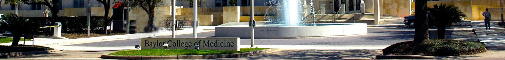 Baylor University banner image