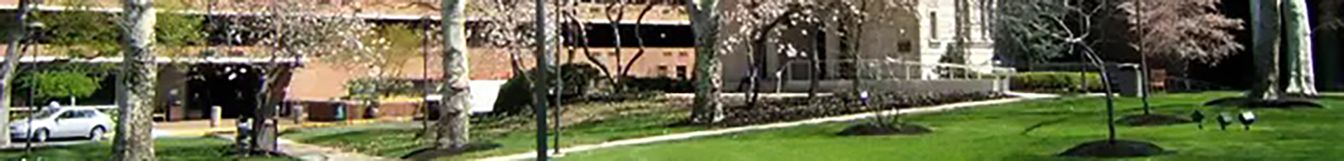 Jefferson Einstein banner image