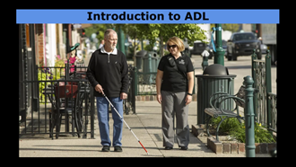 Link to Video: ADL with audio