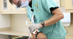A dentist working in a patient's mouth