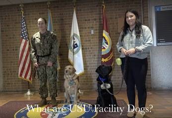 Military personnel with facility dogs